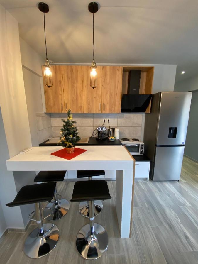 Alexandras Cozy Apartment Ioannina Exterior photo